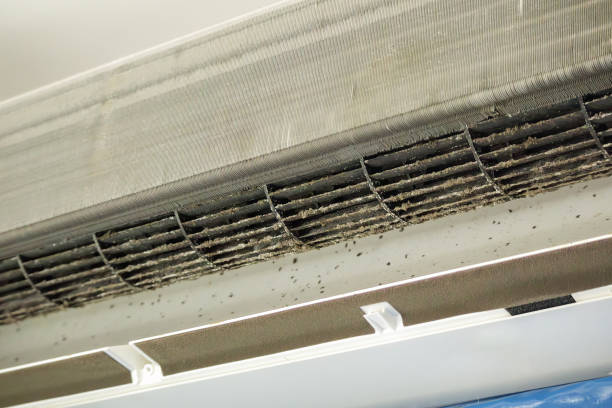 Best Affordable Duct Cleaning Services  in Parker, FL